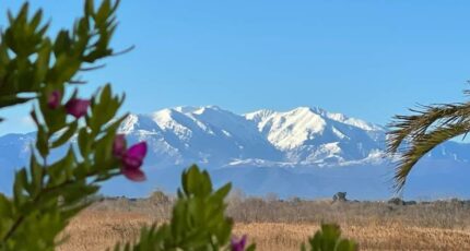 Prades Terrain à bâtir - 2381991-4671annonce120260105N4aw0.jpeg Maisons Open