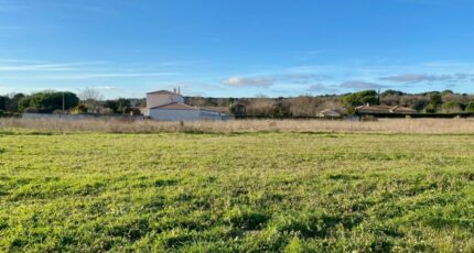 Saint-Palais-sur-Mer Terrain à bâtir - 2381864-11163annonce1202507084qTfw.jpeg Maisons Open