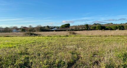 Saint-Palais-sur-Mer Terrain à bâtir - 2381874-11163annonce120250708VfLfp.jpeg Maisons Open