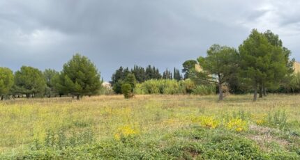 Saint-Pargoire Terrain à bâtir - 2314376-11455annonce12025102255iAr.jpeg Maisons Open