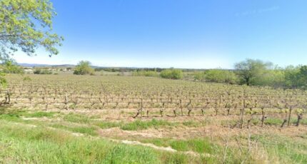 Ginestas Terrain à bâtir - 2381517-692annonce2202601056Rxvx.jpeg Maisons Open