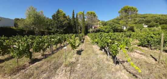 Terrain à bâtir à , Var