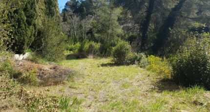 Grasse Terrain à bâtir - 2382201-1837annonce120260106gTyva.jpeg Maisons Open