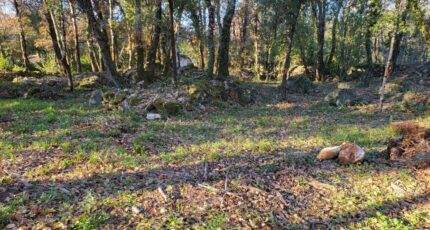 Camps-la-Source Terrain à bâtir - 2382580-10744annonce320251201vIOcs.jpeg Maisons Open