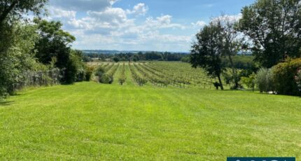 Ruch Terrain à bâtir - 2382638-4459annonce120241018sWc8a.jpeg Maisons Open