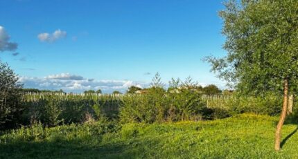 Néac Terrain à bâtir - 2382659-4459annonce1202411286EoAr.jpeg Maisons Open