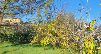 Carros Terrain à bâtir - 2382914-10316annonce120260106uVXoJ.jpeg Maisons Open