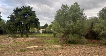 Malataverne Terrain à bâtir - 2294654-6150annonce520251005B3pKd.jpeg Maisons Open