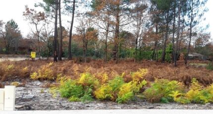 Saint-Magne Terrain à bâtir - 2383276-3957annonce120260106Q29NK.jpeg Maisons Open