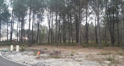 Cestas Terrain à bâtir - 2383347-3957annonce120260106GponS.jpeg Maisons Open