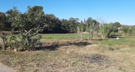 Fréjus Terrain à bâtir - 2383524-10295annonce320260107mgEUT.jpeg Maisons Open