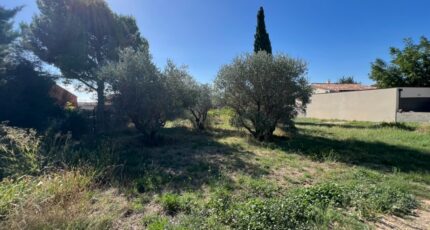 Montpeyroux Terrain à bâtir - 2323687-11017annonce12025103143Kw6.jpeg Maisons Open