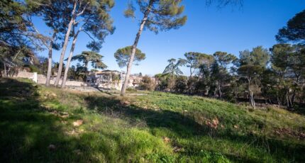 Cournonsec Terrain à bâtir - 2383776-3243annonce320250912ITWWL.jpeg Maisons Open