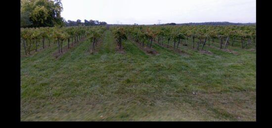 Terrain à bâtir à , Gironde