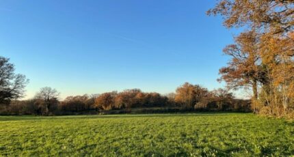 Ardentes Terrain à bâtir - 2272855-11377annonce120250916hEP5T.jpeg Maisons Open