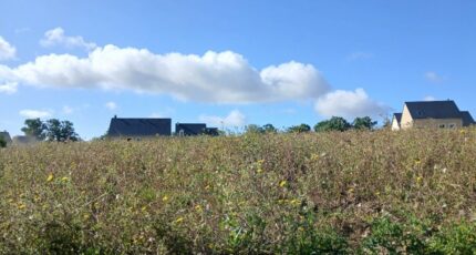 Pont-l'Évêque Terrain à bâtir - 2383638-11563annonce120250905ewoRs.jpeg Maisons Open