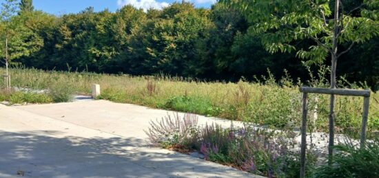 Terrain à bâtir à , Calvados