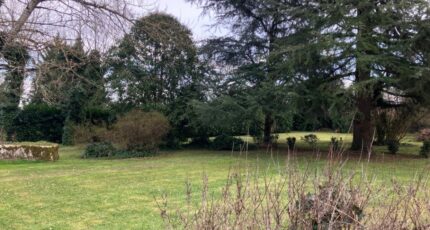 Cognac Terrain à bâtir - 2384046-10974annonce120260107SKTfs.jpeg Maisons Open