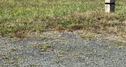 Asnières-la-Giraud Terrain à bâtir - 2384026-10974annonce120260107DEbhi.jpeg Maisons Open