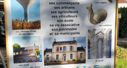 Asnières-la-Giraud Terrain à bâtir - 2384026-10974annonce320260107sKAWR.jpeg Maisons Open