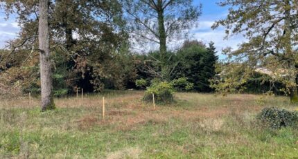 Podensac Terrain à bâtir - 2384169-11071annonce120260107LilUv.jpeg Maisons Open