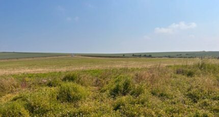 Milly-sur-Thérain Terrain à bâtir - 2338316-5165annonce120230613fWBgG.jpeg Maisons Open