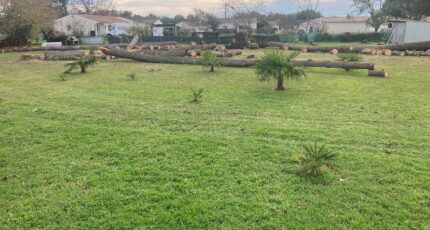 Les Peintures Terrain à bâtir - 2384372-11367annonce120260107nocmv.jpeg Maisons Open