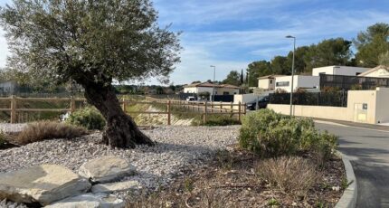 Montferrier-sur-Lez Terrain à bâtir - 2384334-3243annonce220250916qEyHD.jpeg Maisons Open