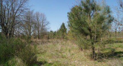 Le Barp Terrain à bâtir - 2384432-11071annonce120260107yxwyI.jpeg Maisons Open