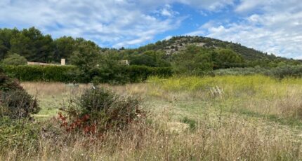 Mérindol Terrain à bâtir - 2384589-7289annonce220260107xzrC7.jpeg Maisons Open