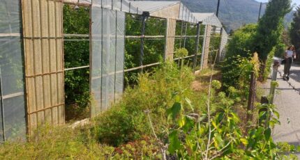 Carros Terrain à bâtir - 2384646-10316annonce1202601074WJuT.jpeg Maisons Open