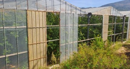 Carros Terrain à bâtir - 2384646-10316annonce220260107HR8K7.jpeg Maisons Open