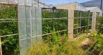 Carros Terrain à bâtir - 2384646-10316annonce3202601078Ph3F.jpeg Maisons Open