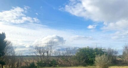 Labarthe-sur-Lèze Terrain à bâtir - 2383202-6043annonce120260106vU9Zh.jpeg Maisons Open