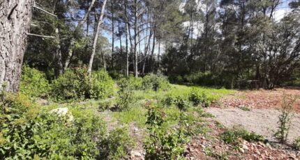 Trans-en-Provence Terrain à bâtir - 2384854-10295annonce220250418kl2mn.jpeg Maisons Open