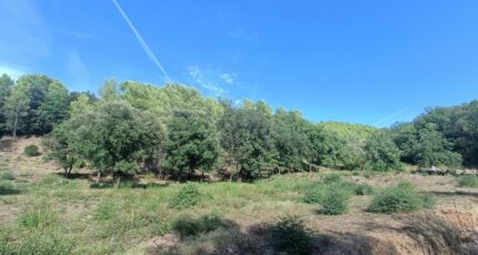 Taradeau Terrain à bâtir - 2384968-9911annonce5202601074Zm9d.jpeg Maisons Open