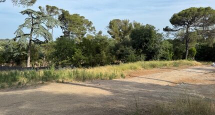 Cournonsec Terrain à bâtir - 2306848-11455annonce120251015o2DlU.jpeg Maisons Open