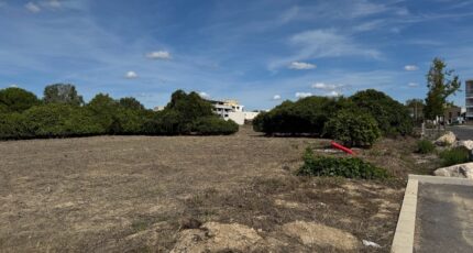 Marsillargues Terrain à bâtir - 2330520-11455annonce12025110629iJQ.jpeg Maisons Open