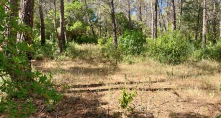 Bagnols-en-Forêt Terrain à bâtir - 2385025-11157annonce12026010799KhT.jpeg Maisons Open