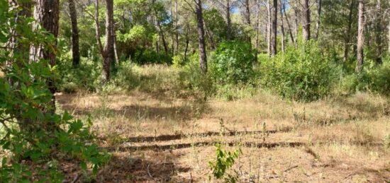 Terrain à bâtir à Bagnols-en-Forêt, Provence-Alpes-Côte d'Azur