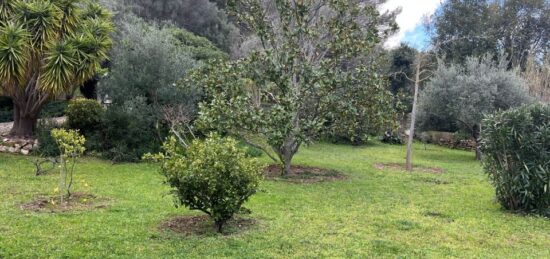 Terrain à bâtir à , Var