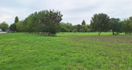 Mornac-sur-Seudre Terrain à bâtir - 2318705-3362annonce120251027keTky.jpeg Maisons Open