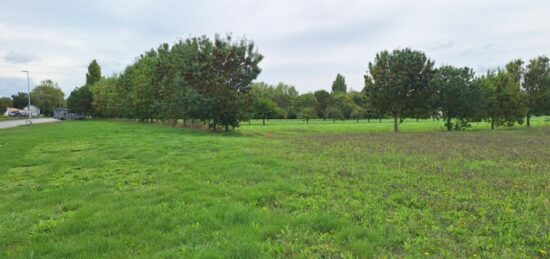 Terrain à bâtir à Mornac-sur-Seudre, Nouvelle-Aquitaine