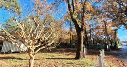 Saint-Palais-sur-Mer Terrain à bâtir - 2358869-3362annonce120251205D2kwx.jpeg Maisons Open