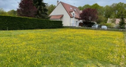 Vert-le-Grand Terrain à bâtir - 2385007-10885annonce120260107Vcruu.jpeg Maisons Open