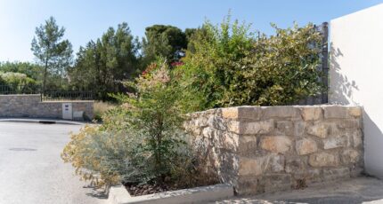 Gigean Terrain à bâtir - 2385701-3243annonce120250917Hh3dw.jpeg Maisons Open