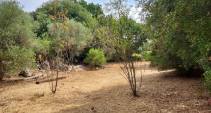 Camps-la-Source Terrain à bâtir - 2385344-11137annonce1202509156ckC9.jpeg Maisons Open