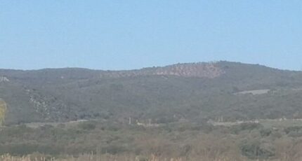 Oraison Terrain à bâtir - 2385727-9917annonce220250820oOCJI.jpeg Maisons Open