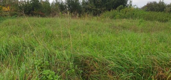 Terrain à bâtir à Saint-Ciers-d'Abzac, Nouvelle-Aquitaine