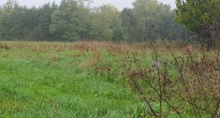 Tizac-de-Lapouyade Terrain à bâtir - 2385464-11015annonce120260108iIn4N.jpeg Maisons Open